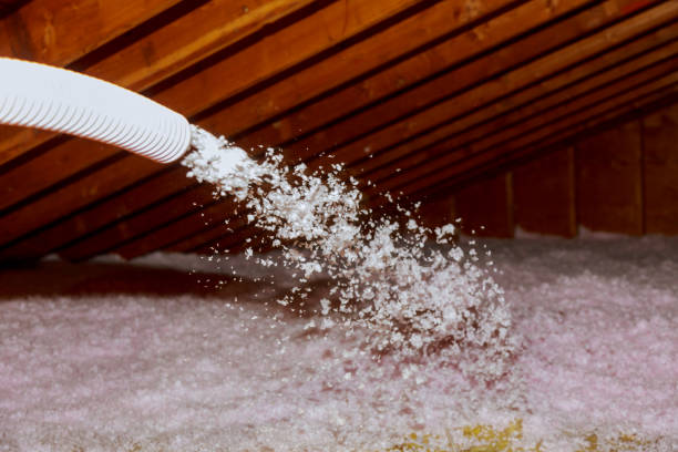 Professional Insulation Contractor in HI